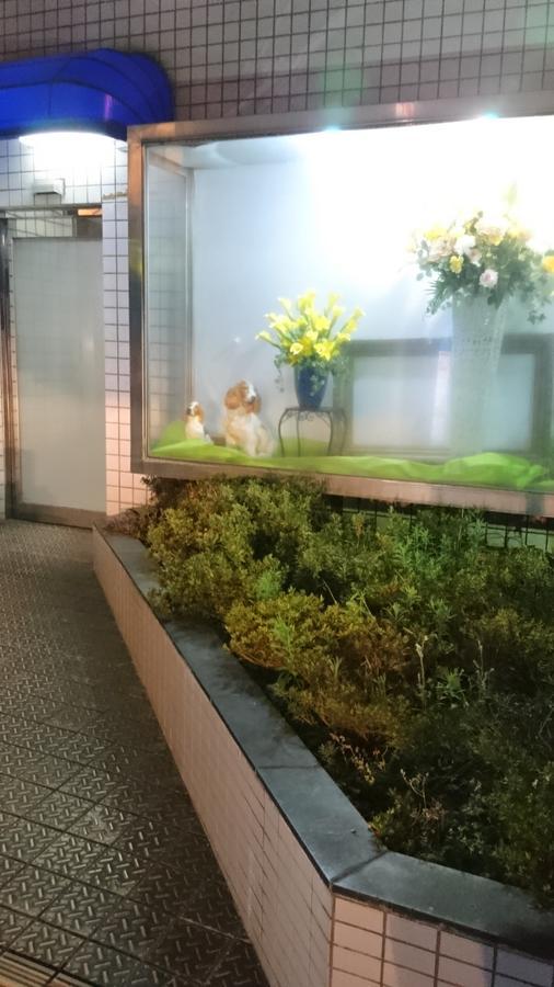 Hotel Loire (Adults Only) Osaka Buitenkant foto